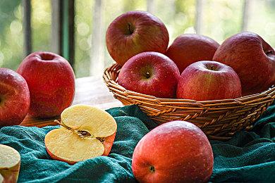 科隆未来游戏展：虚幻5生存游戏《Rooted》全新预告